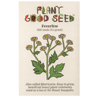 Feverfew / Matricaria