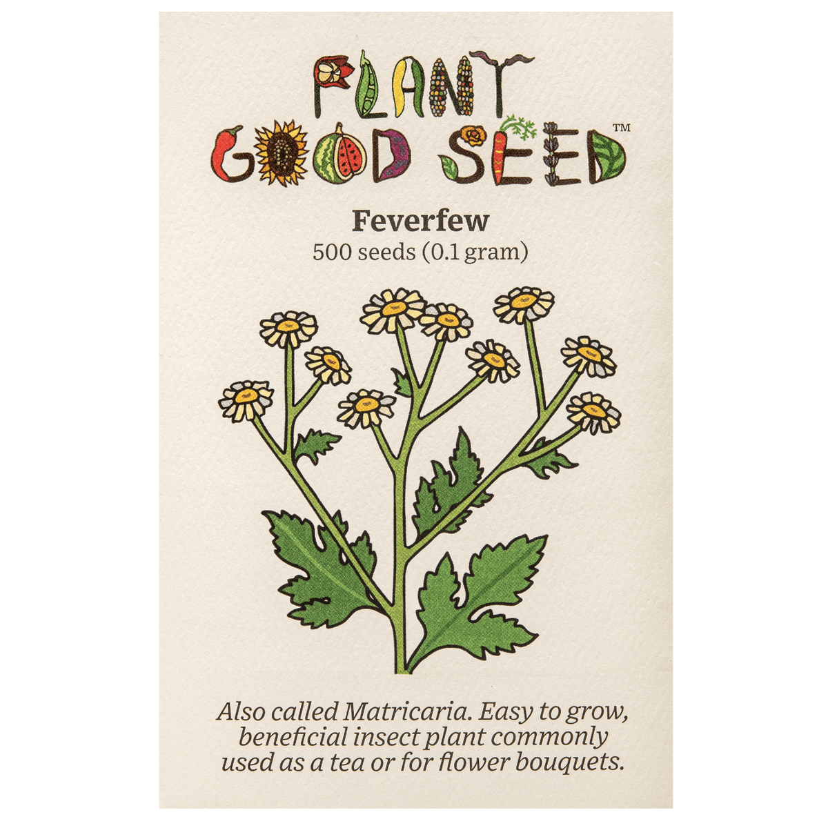 Feverfew / Matricaria