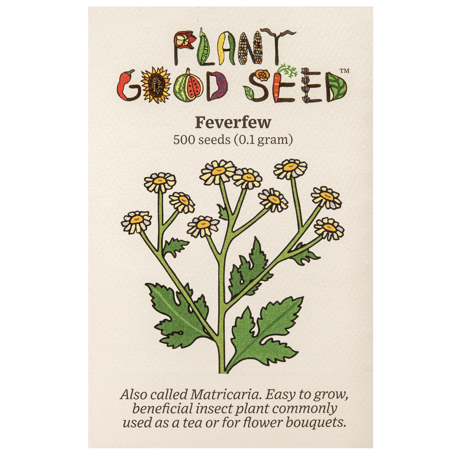 Feverfew / Matricaria