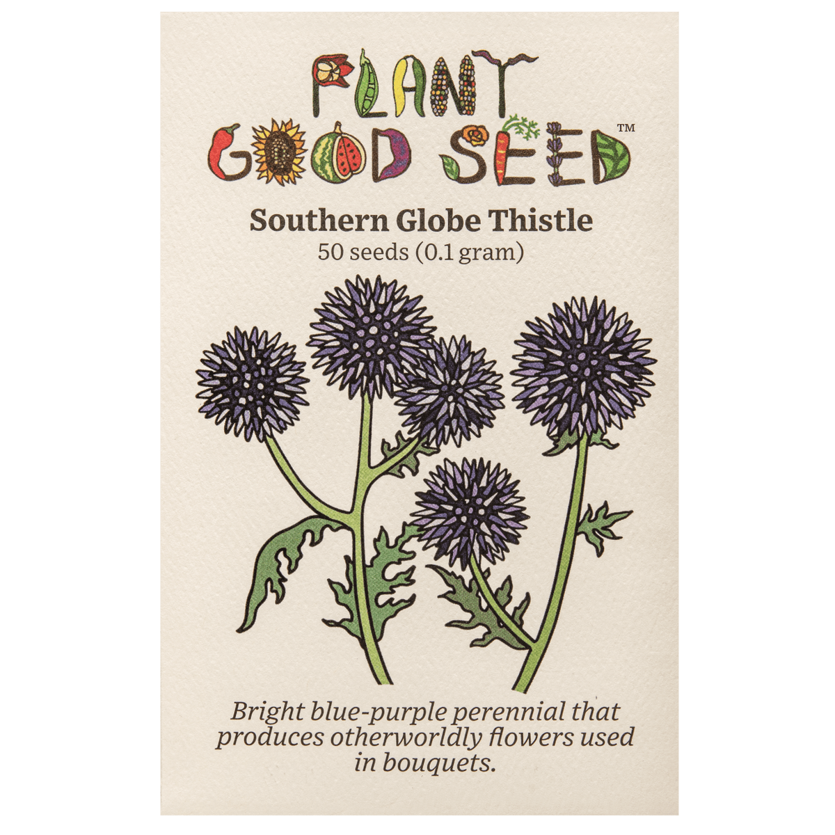 Southern Globe Thistle