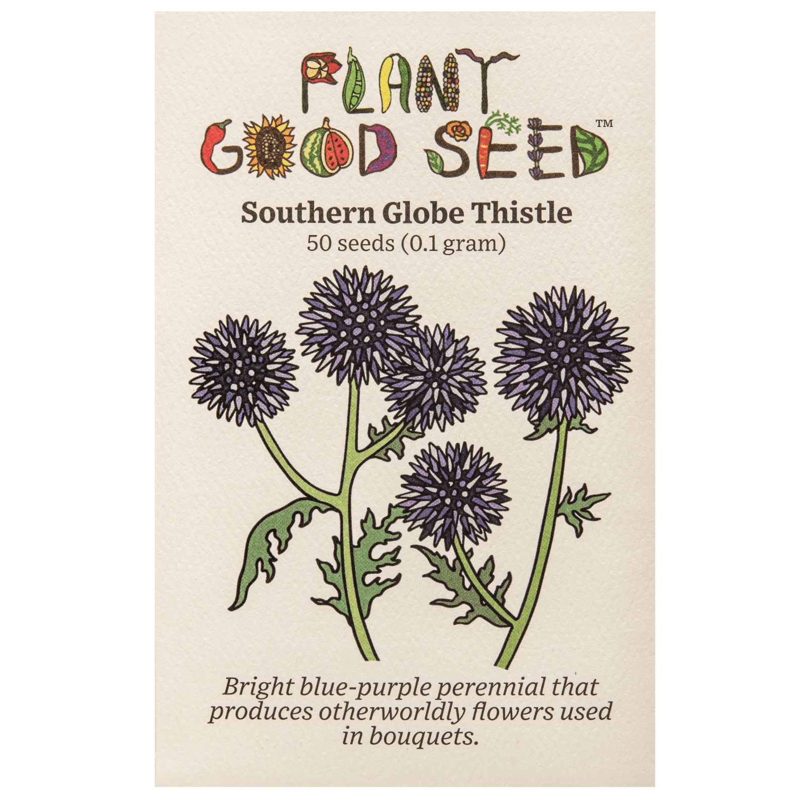 Southern Globe Thistle