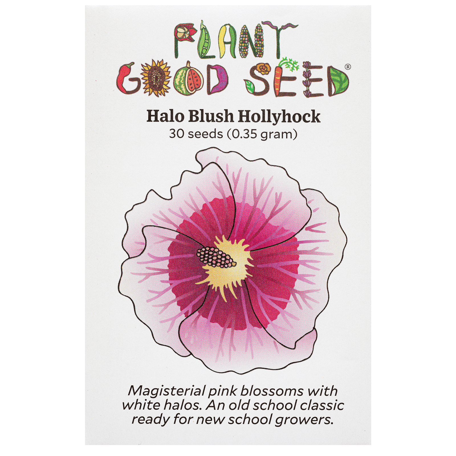 Halo Blush Hollyhock