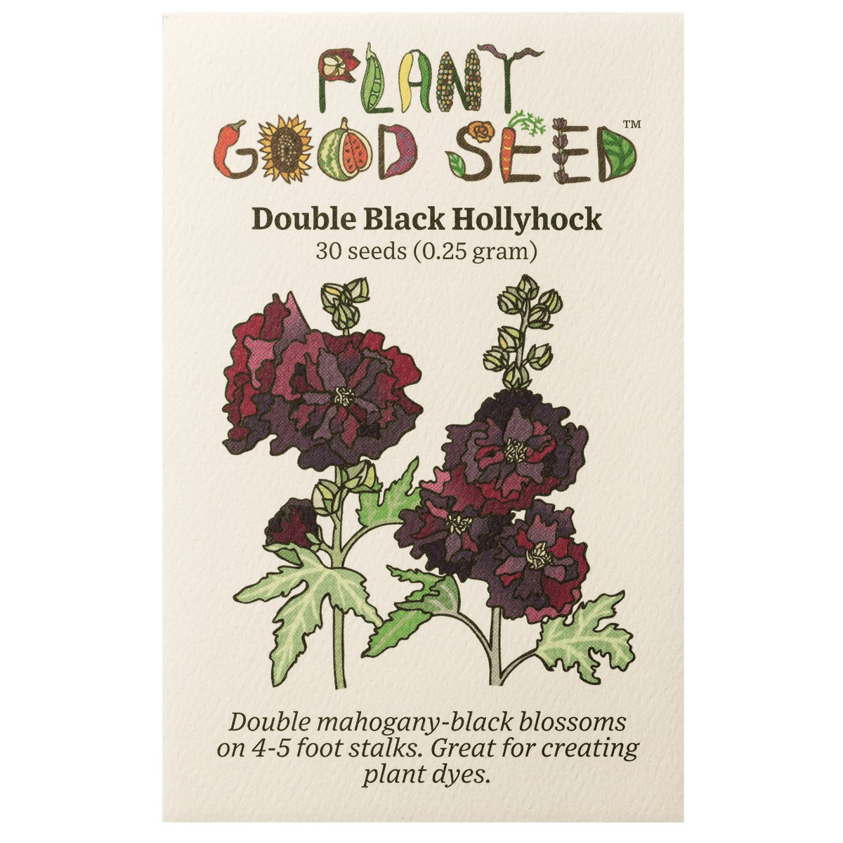 Double Black Hollyhock