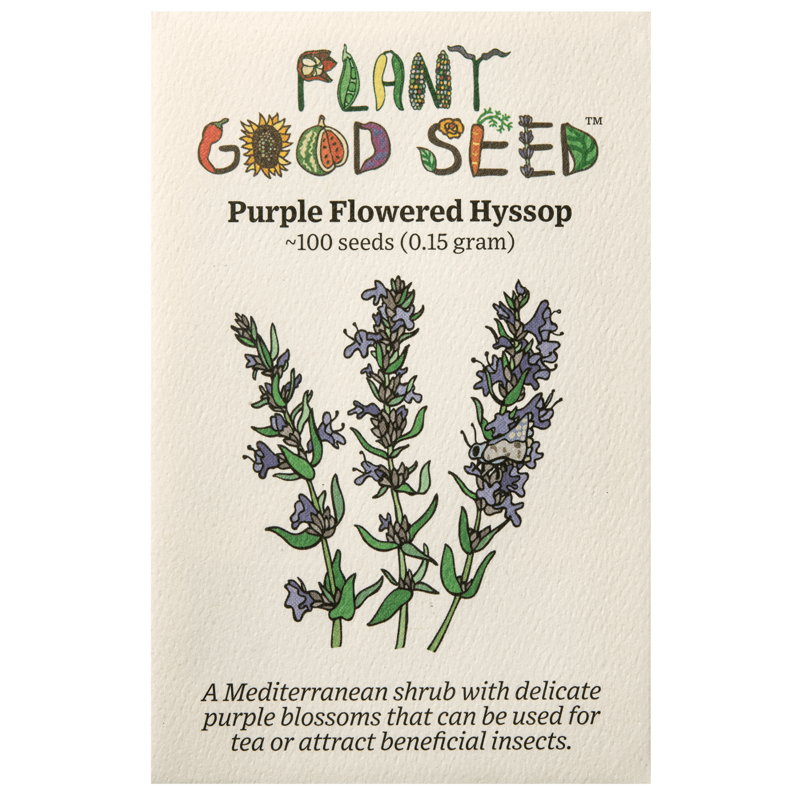 Purple Flowered Hyssop