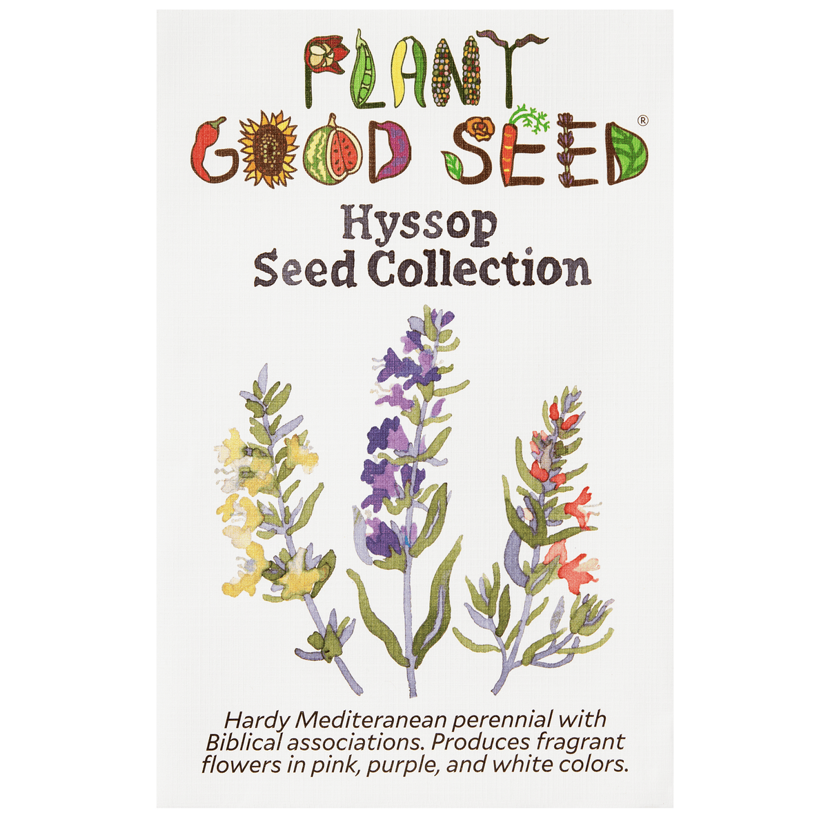 Hyssop Seed Collection - 3 packets