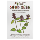 Nettleleaf Giant Hyssop