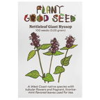 Nettleleaf Giant Hyssop