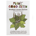 Broadleaf / Greater Plantain