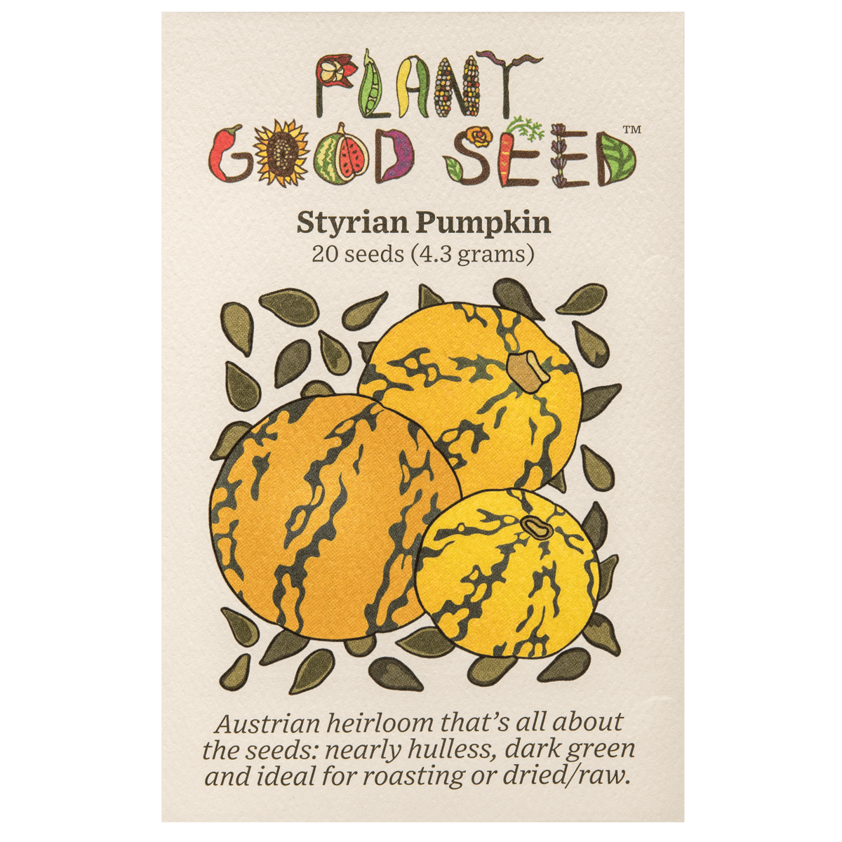 Styrian Hulless Pumpkin