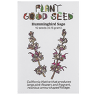 Hummingbird Sage