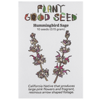 Hummingbird Sage