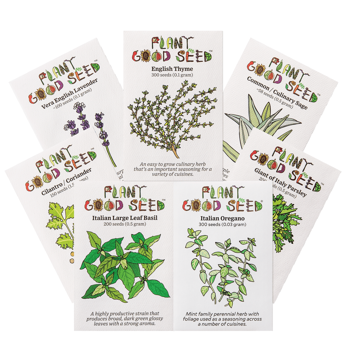 Culinary Herbs Seed Collection - 7 packets