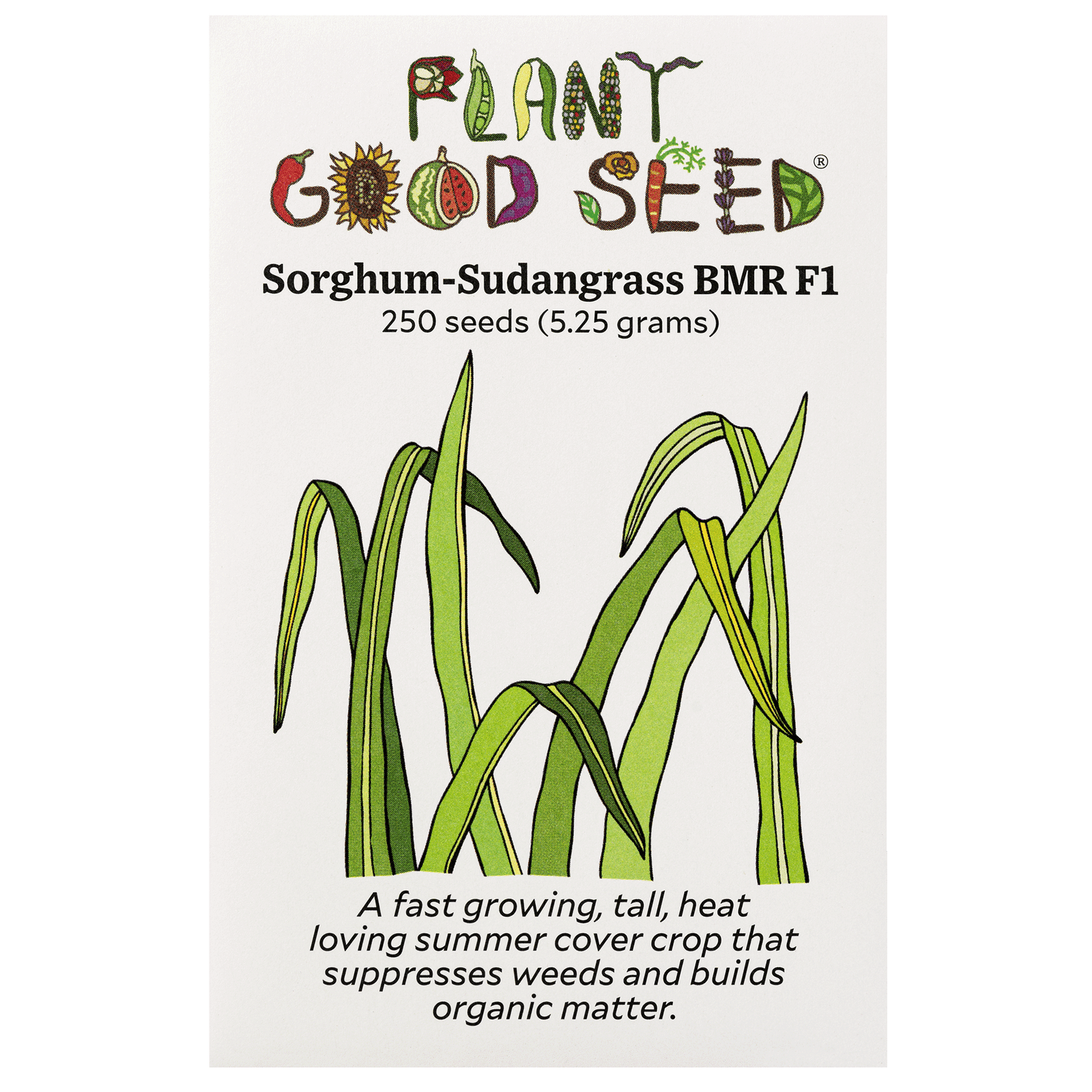 Sorghum-Sudangrass BMR F1