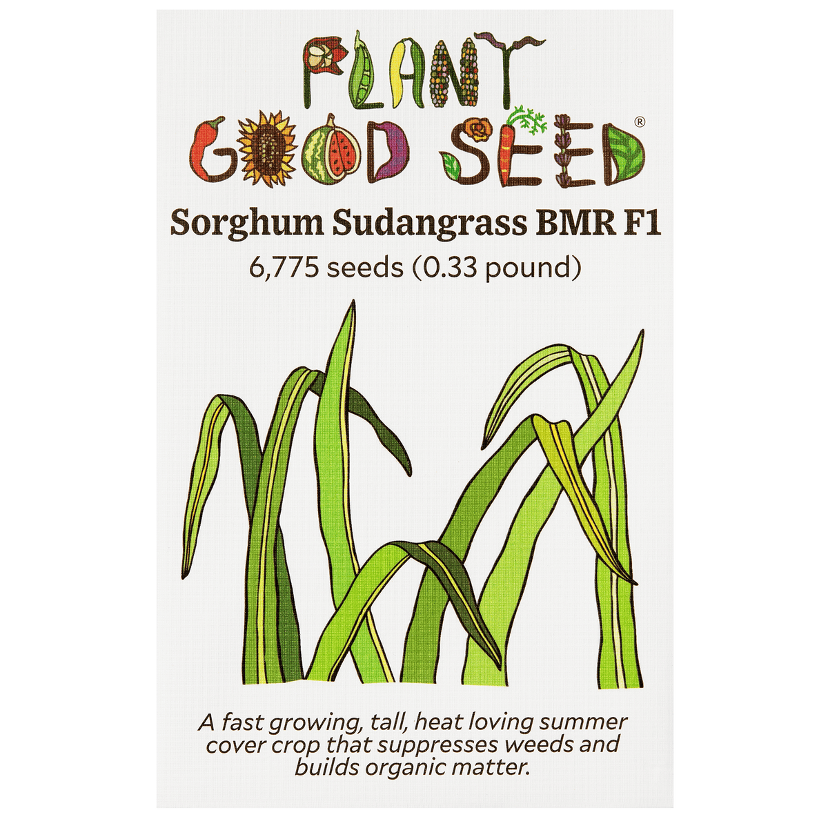 Sorghum-Sudangrass BMR F1