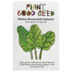 Winter Bloomsdale Spinach