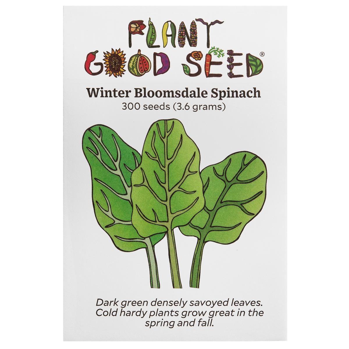 Winter Bloomsdale Spinach