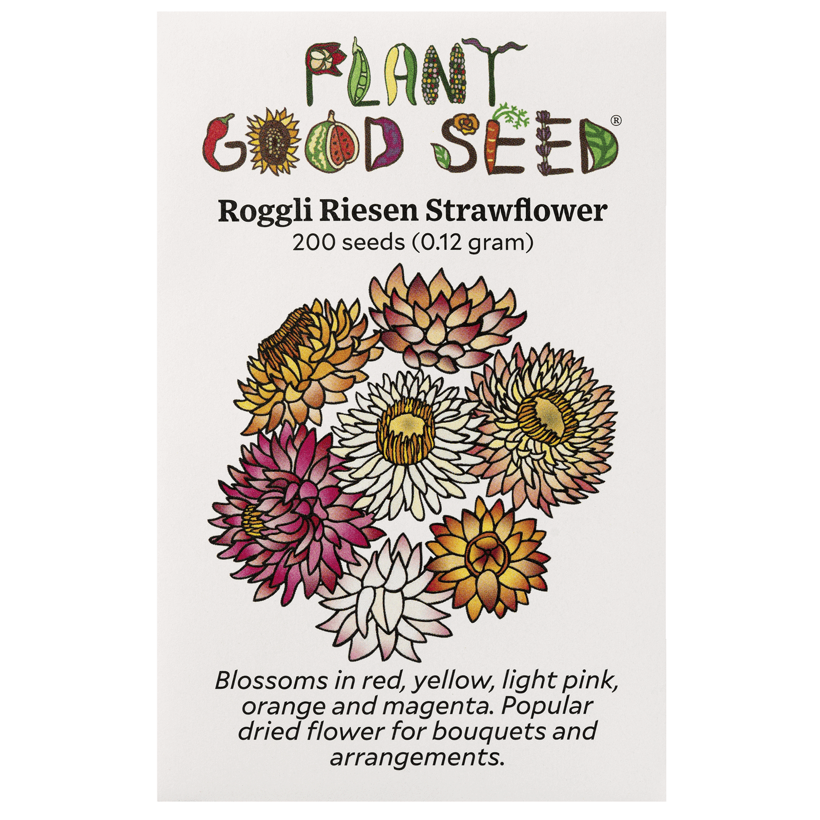 Roggli Riesen Strawflower
