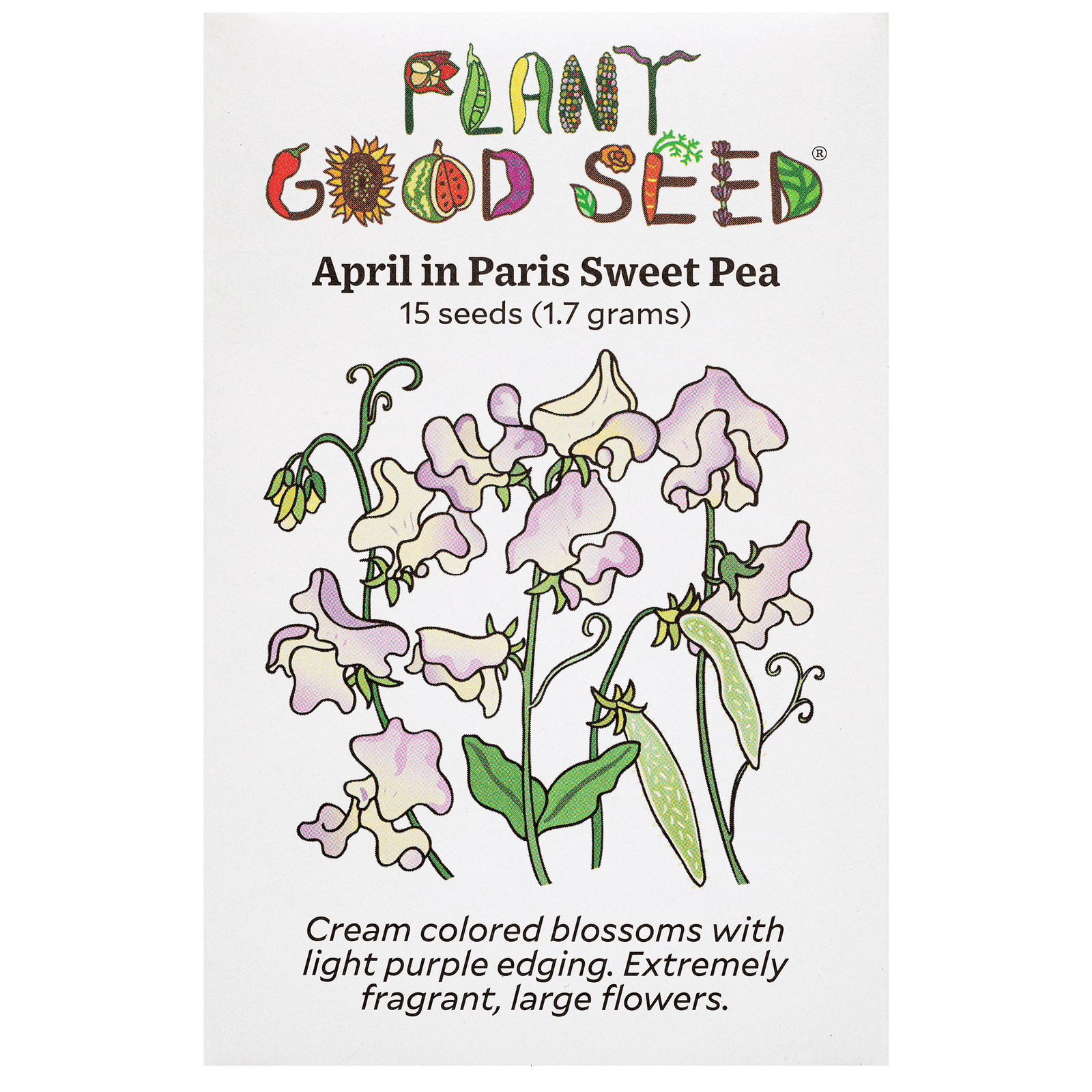 April in Paris Sweet Pea