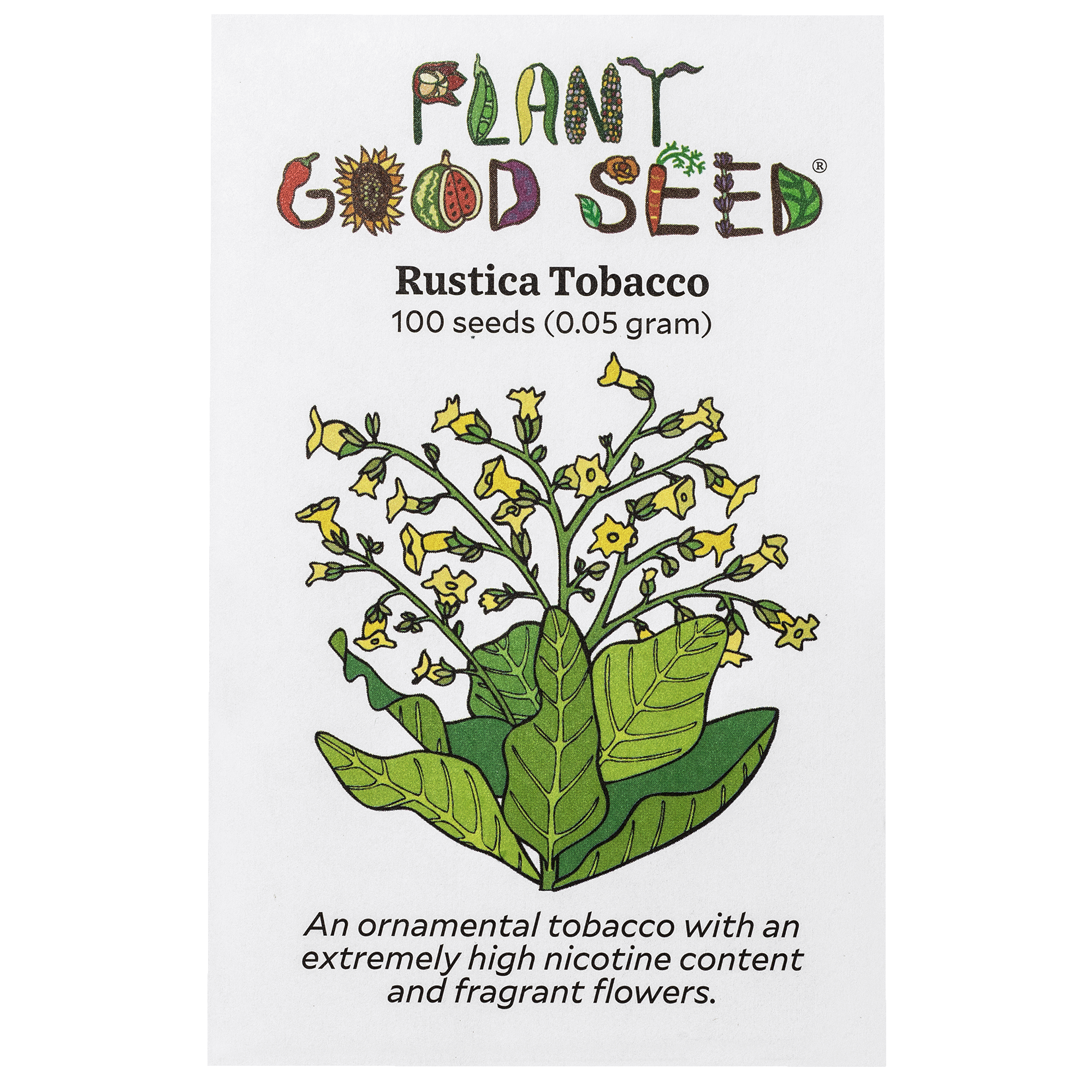 Rustica Tobacco Seed