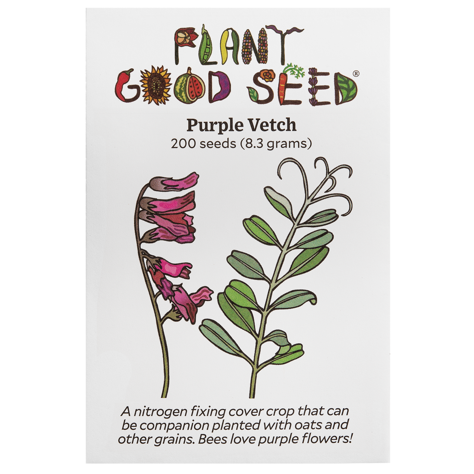 Purple Vetch
