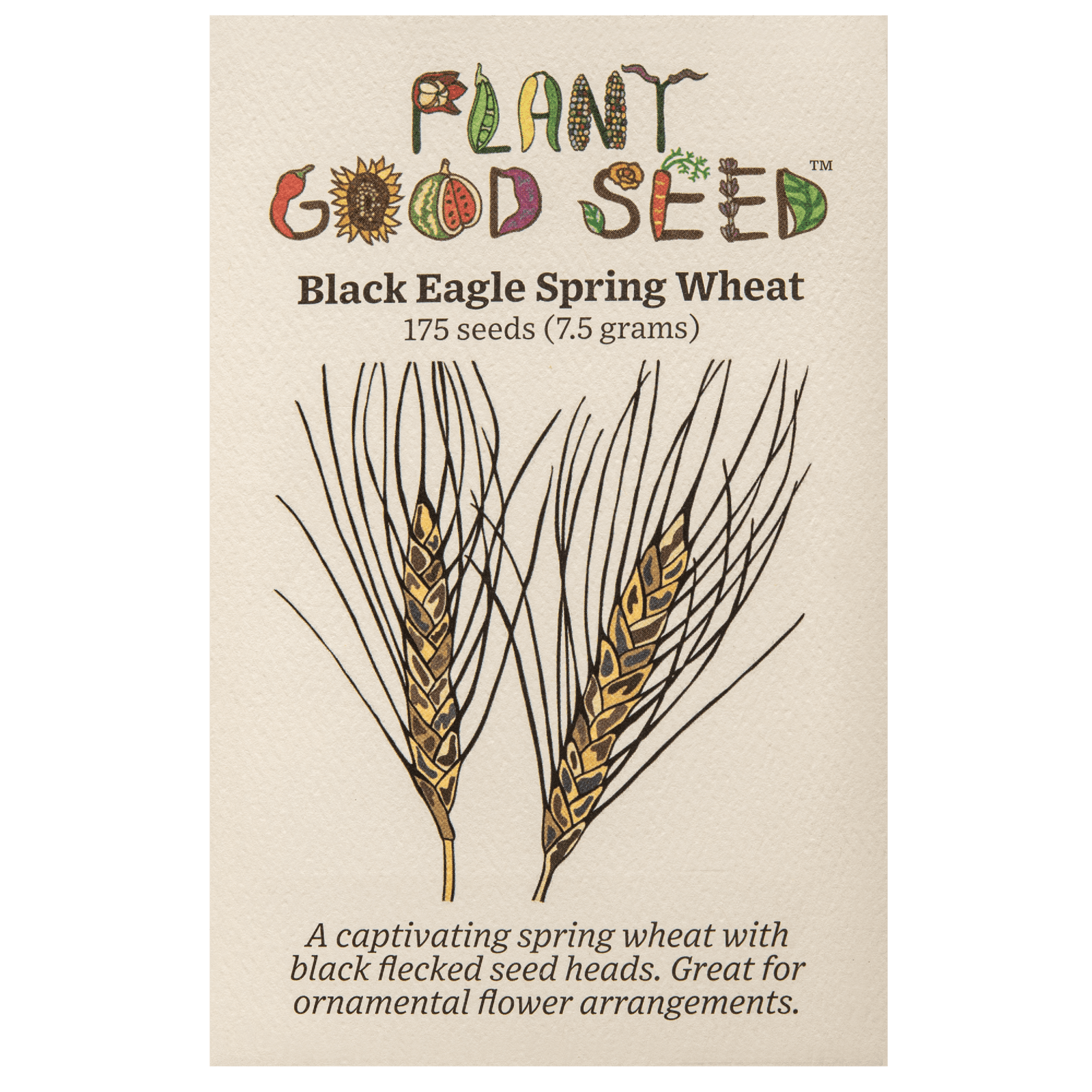 Black Eagle Spring Wheat