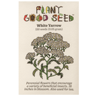 White Yarrow