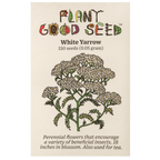 White Yarrow