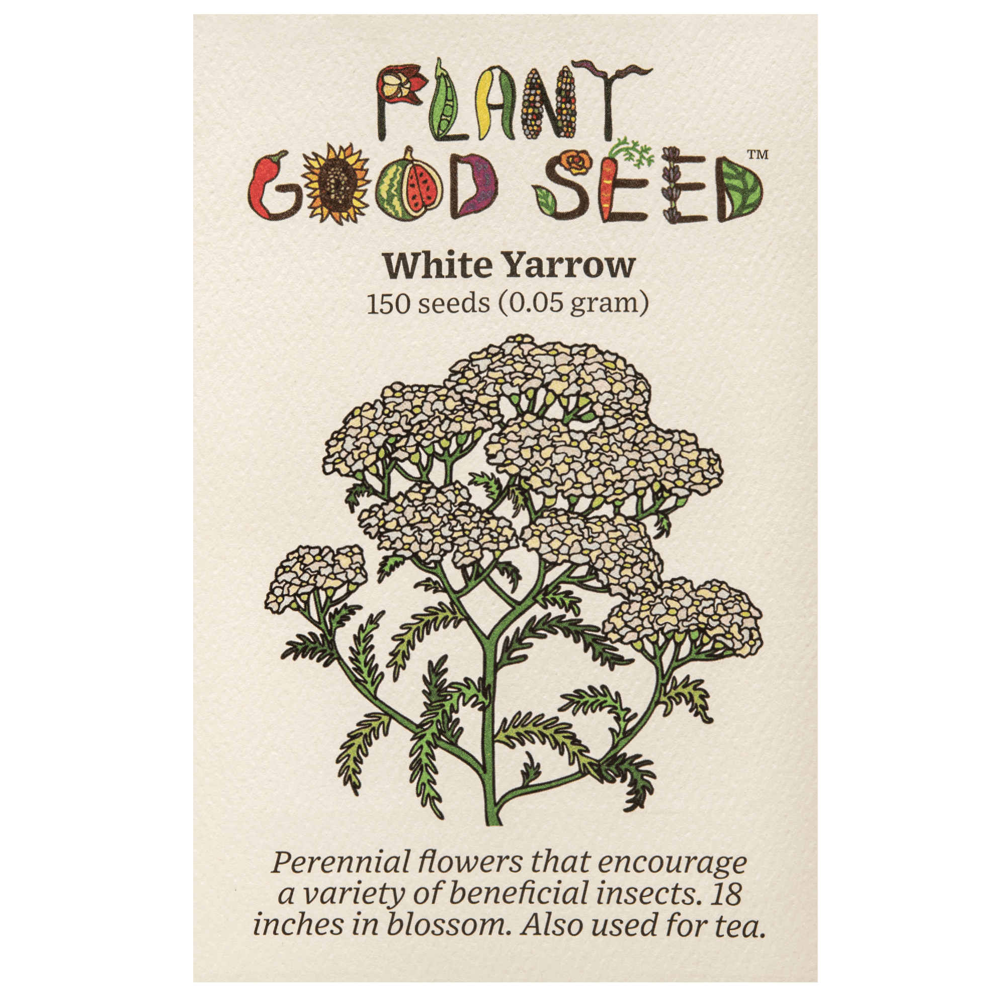 White Yarrow