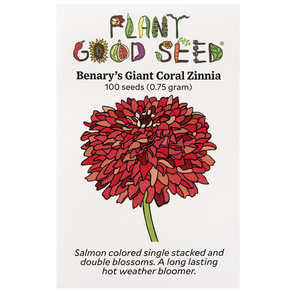 Benary&#39;s Giant Coral Zinnia