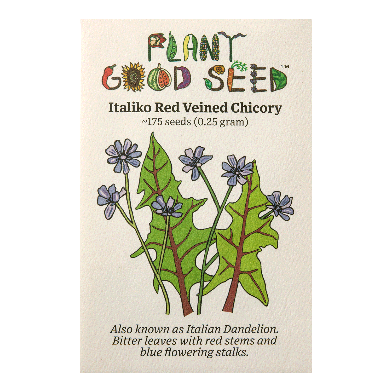 Italiko Red Veined Chicory