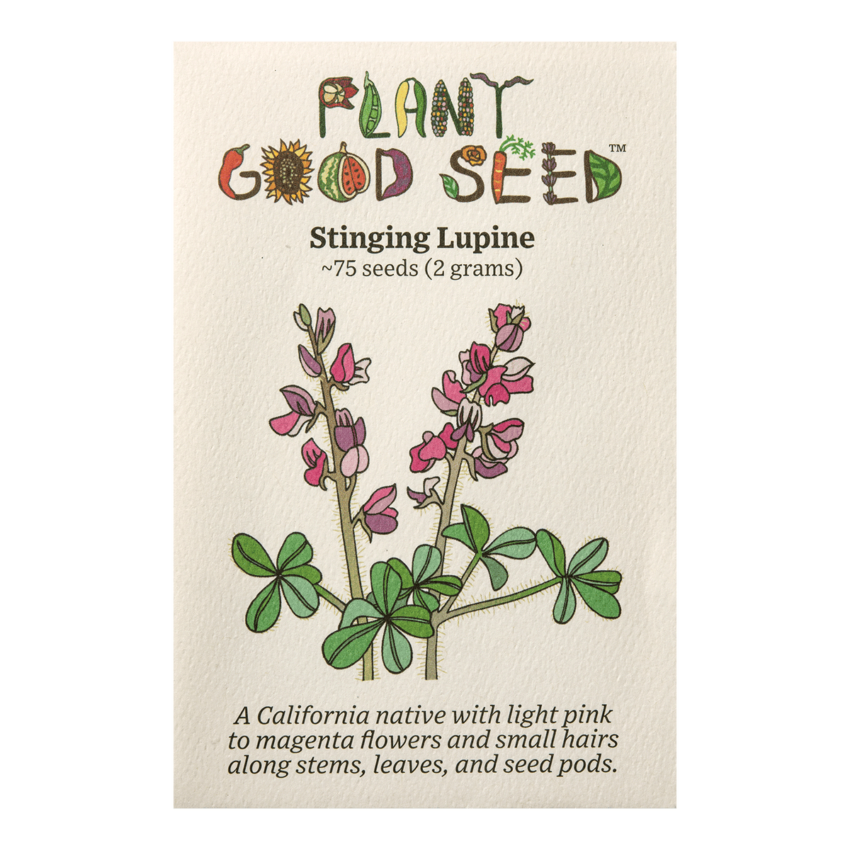 Stinging Lupine Flower