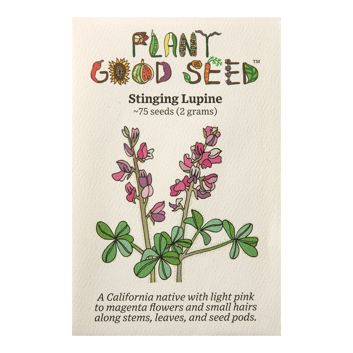 Stinging Lupine Flower