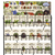 48 Variety Seed Rack