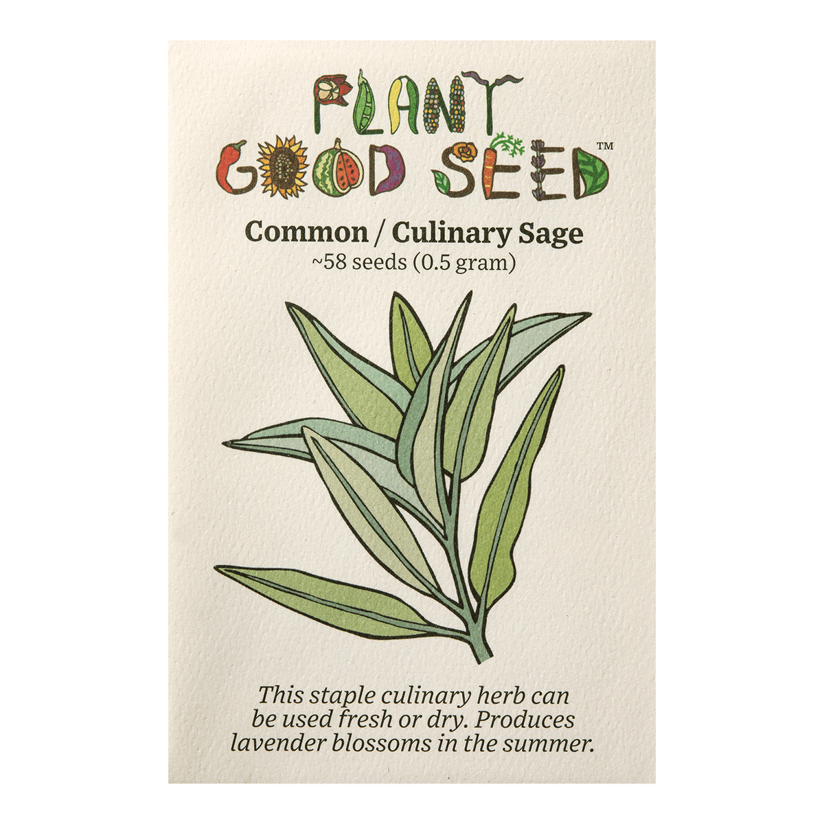 Common / Culinary Sage