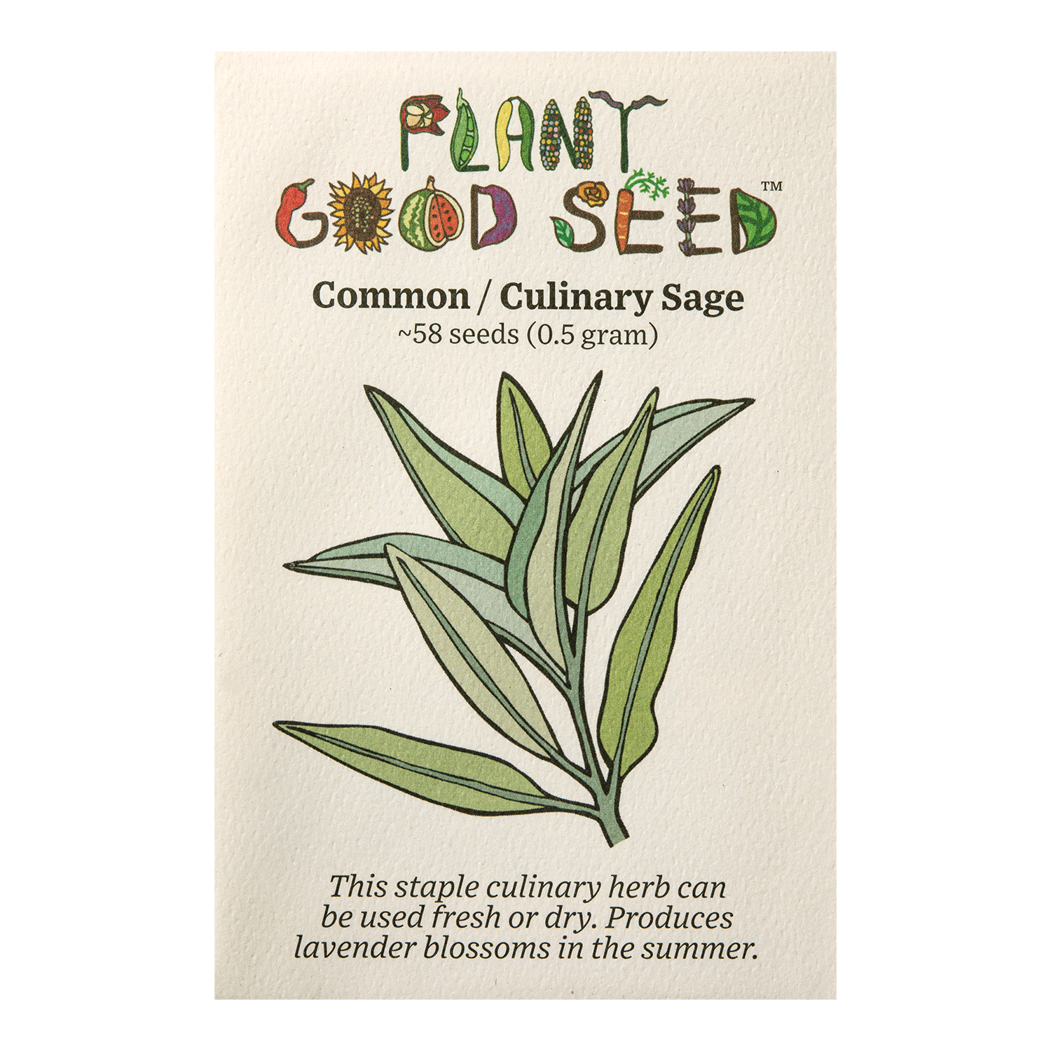 Common / Culinary Sage