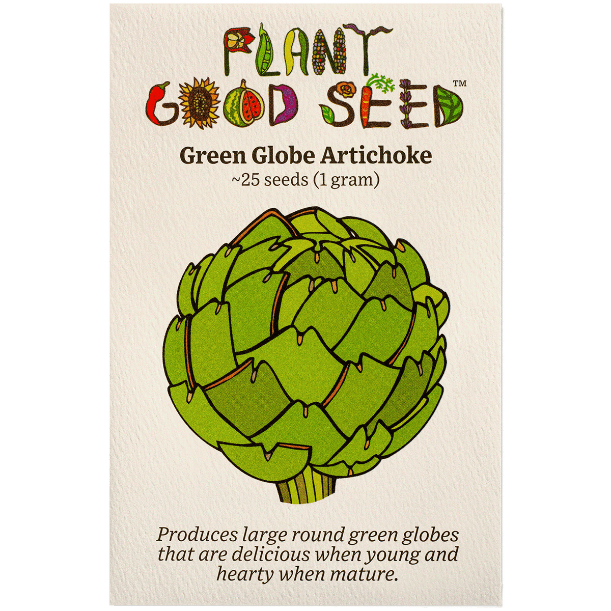 Green Globe Artichoke