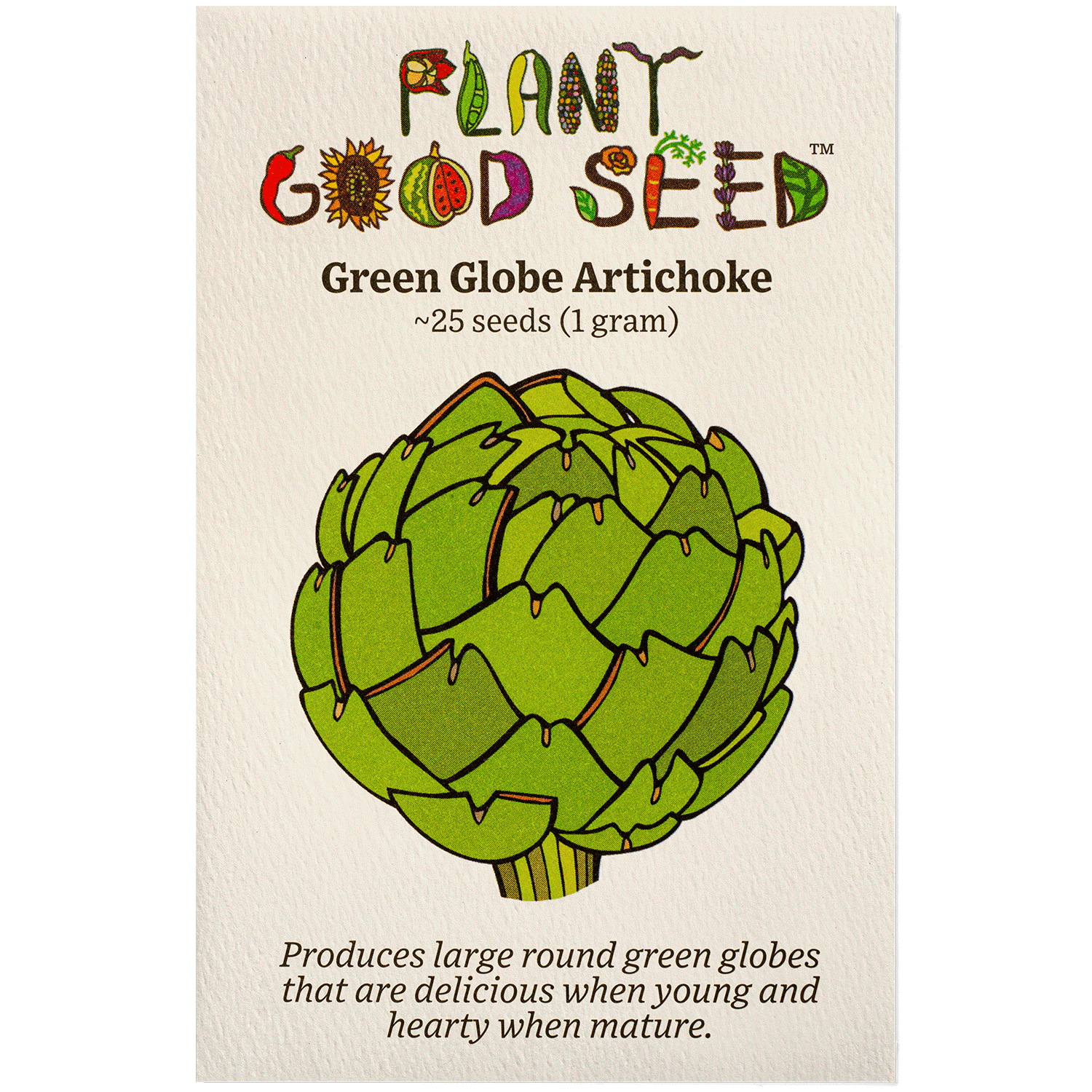 Green Globe Artichoke