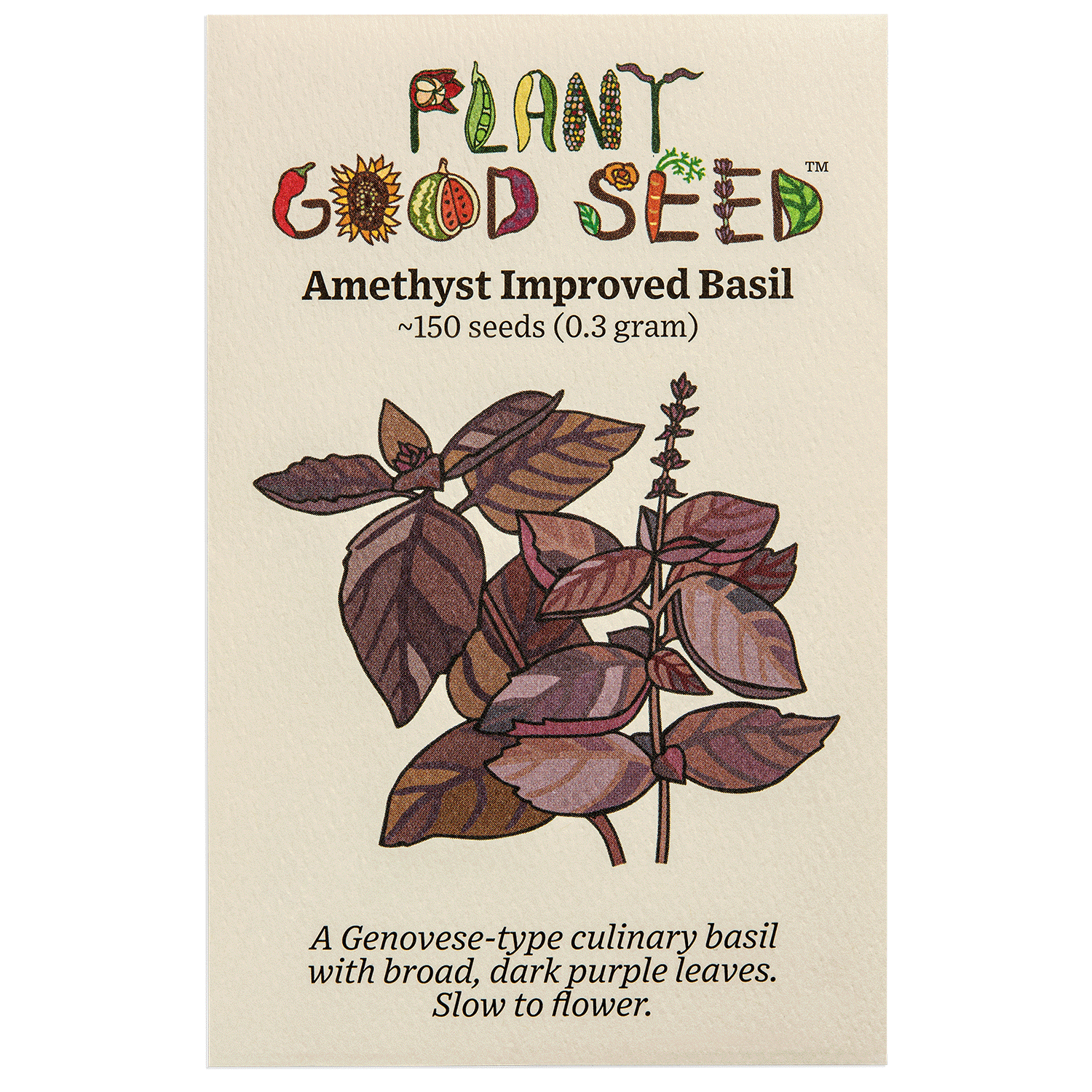 Amethyst Improved Basil