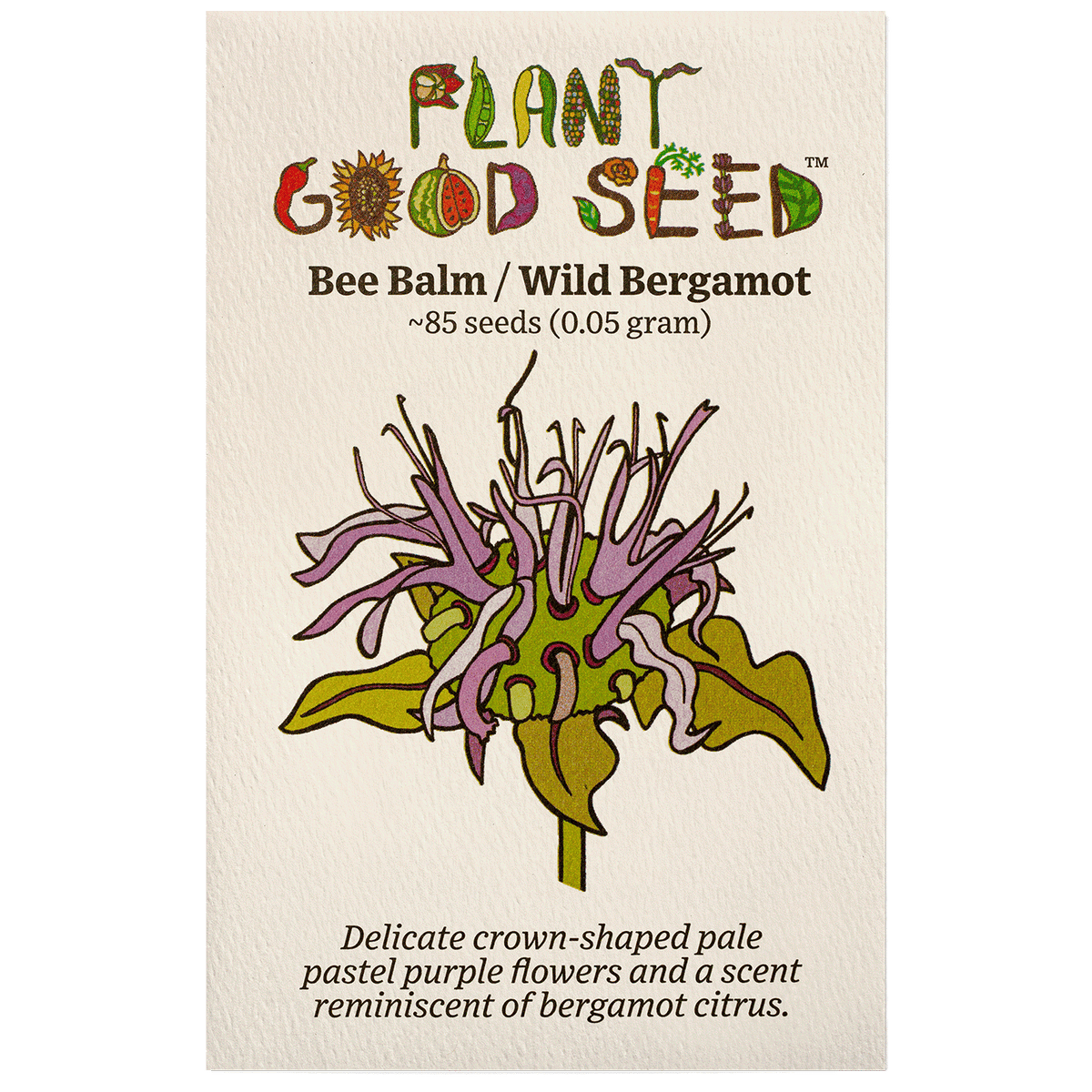 Bee Balm / Wild Bergamot