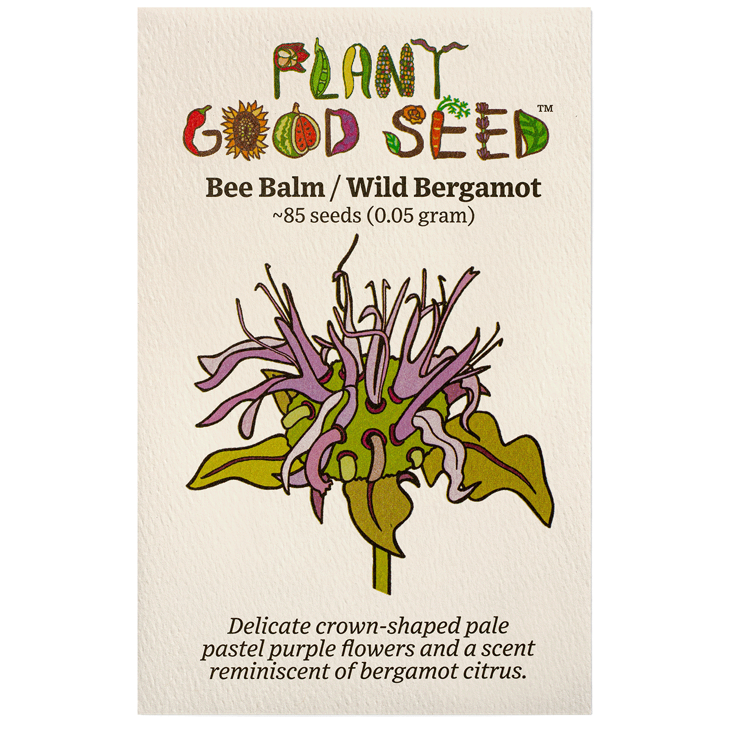 Bee Balm / Wild Bergamot