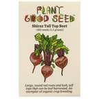 Shiraz Tall Top Beet