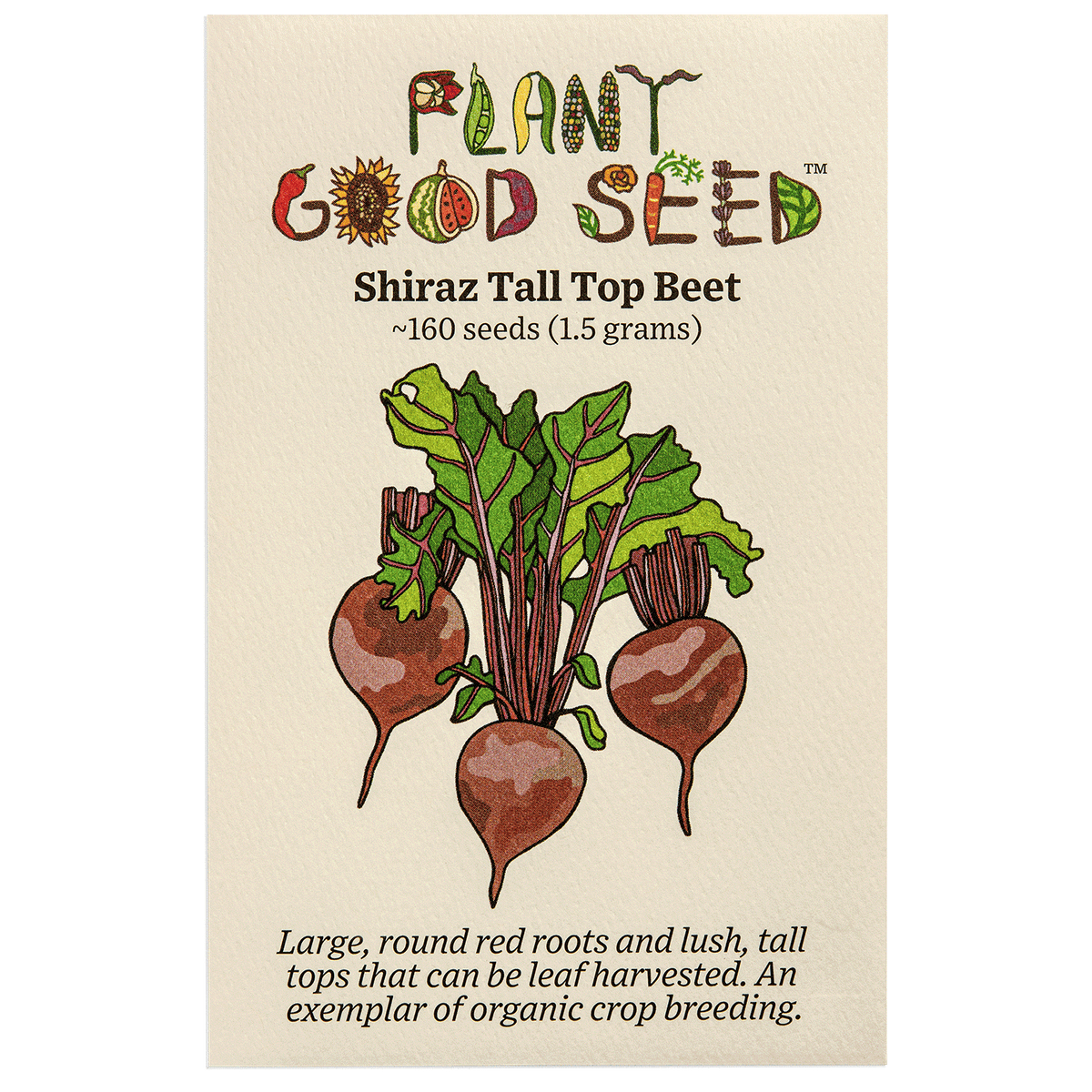 Shiraz Tall Top Beet