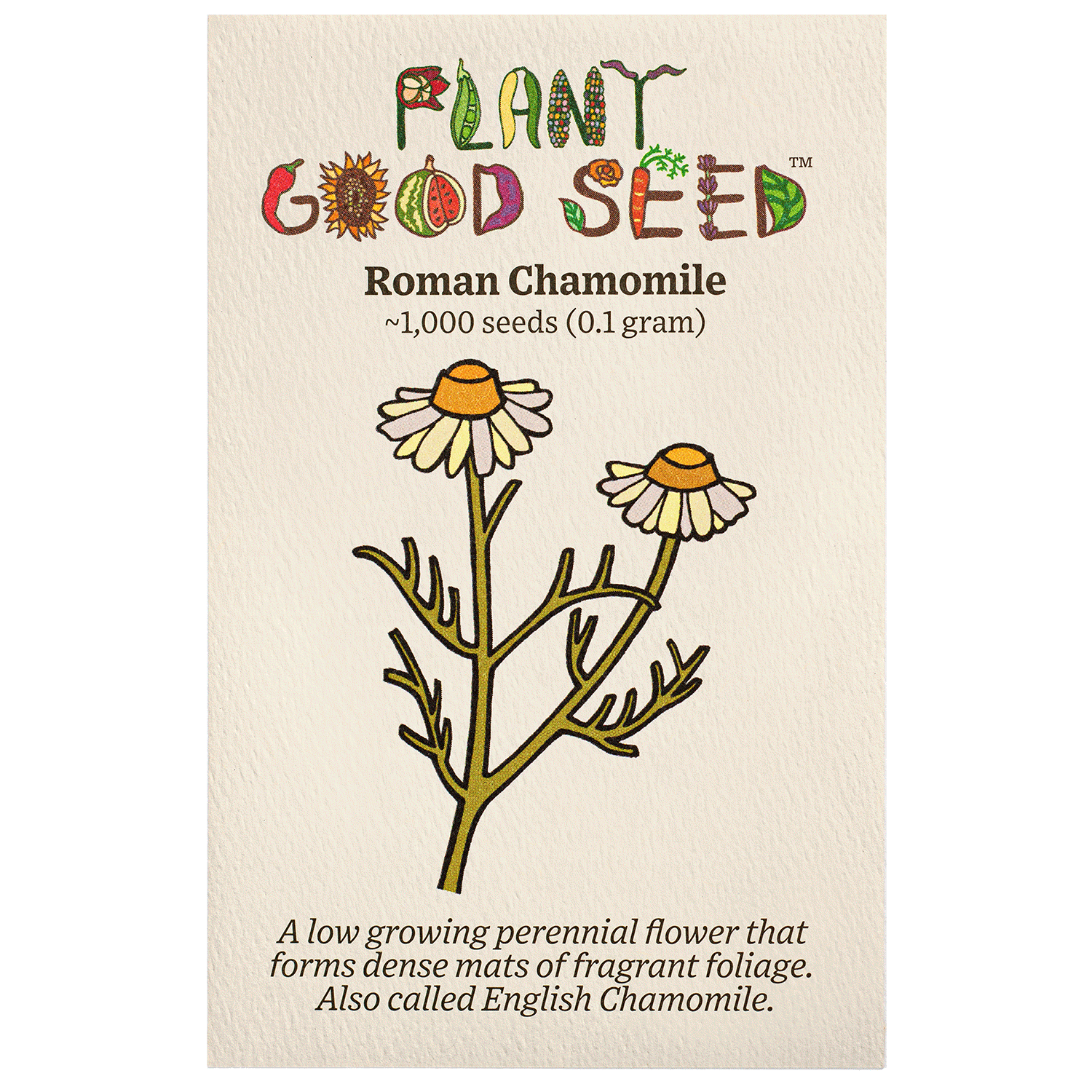 Roman Chamomile