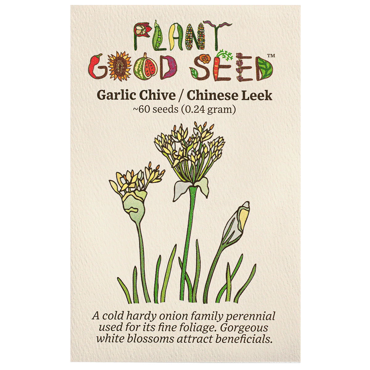 Garlic Chive / Chinese Leek