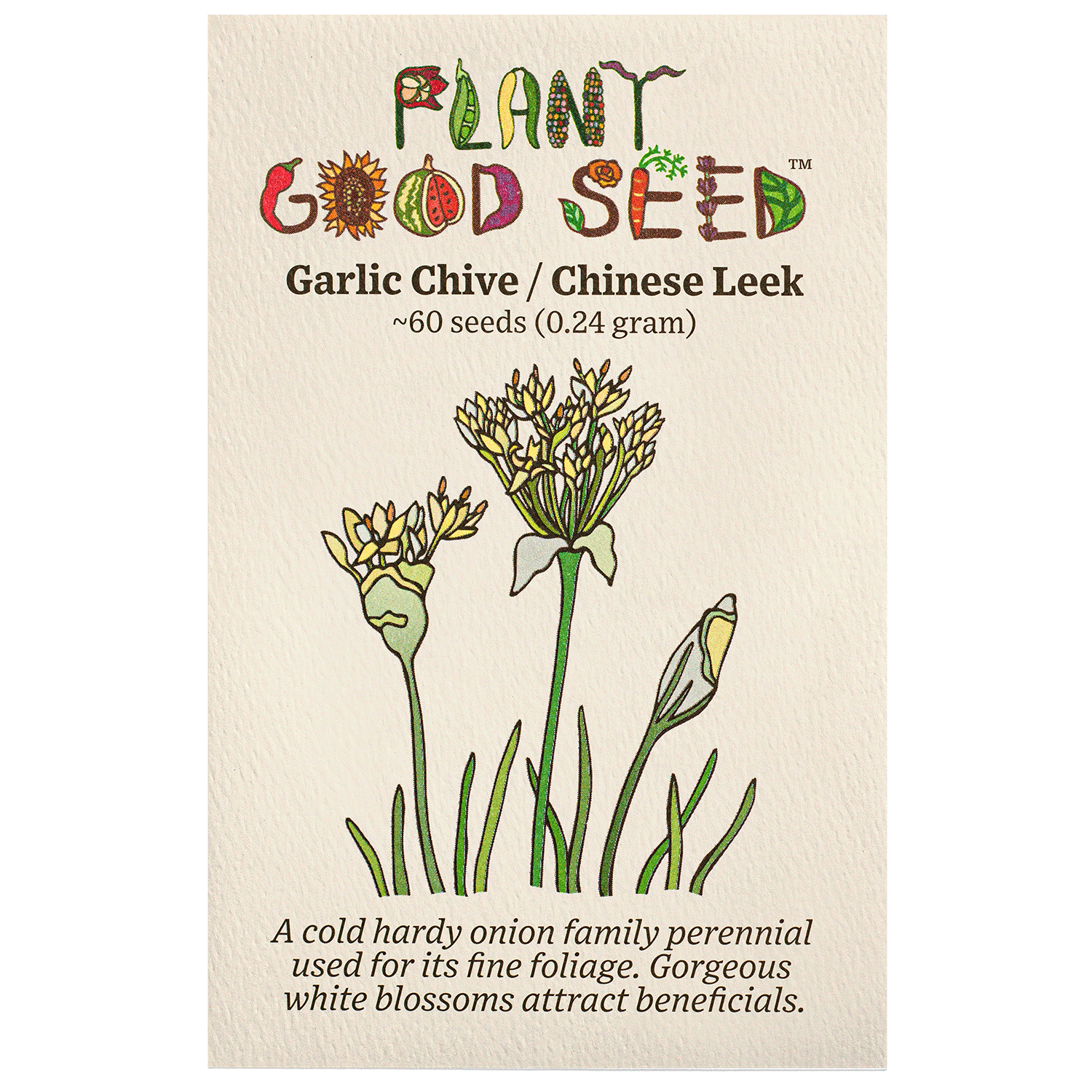 Garlic Chive / Chinese Leek