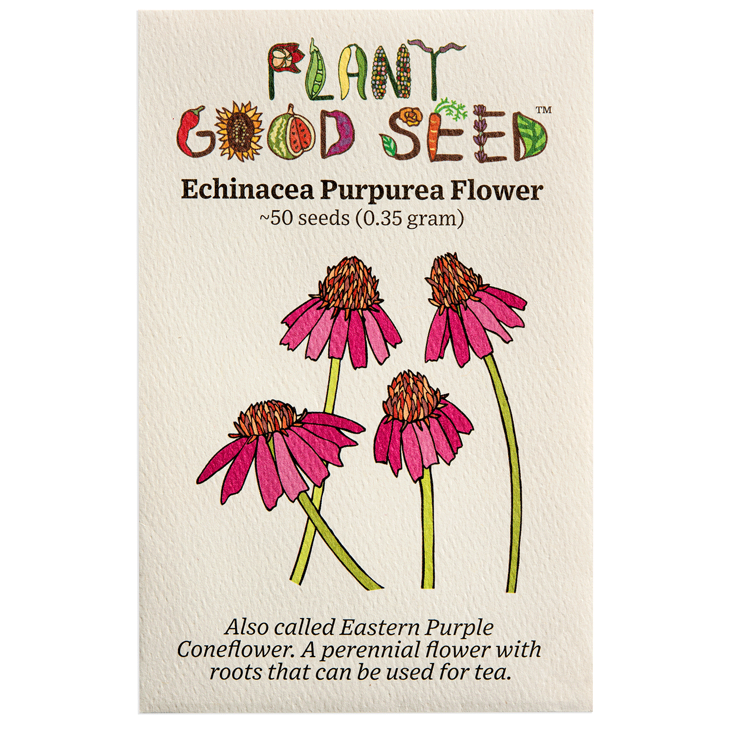 Echinacea Purpurea Flower