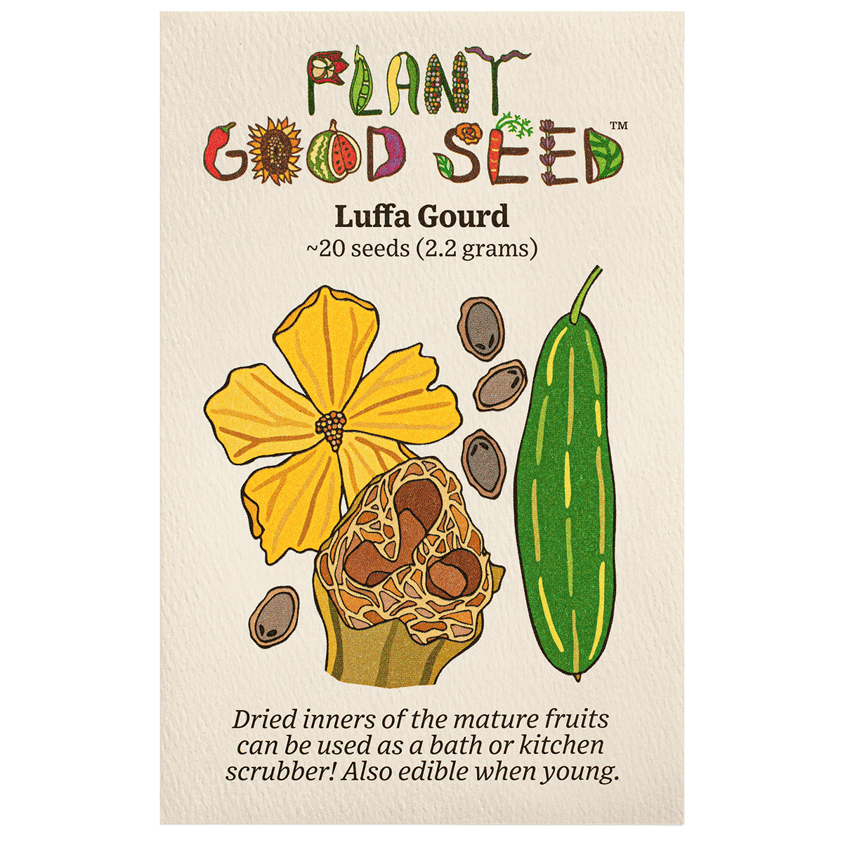Luffa Gourd