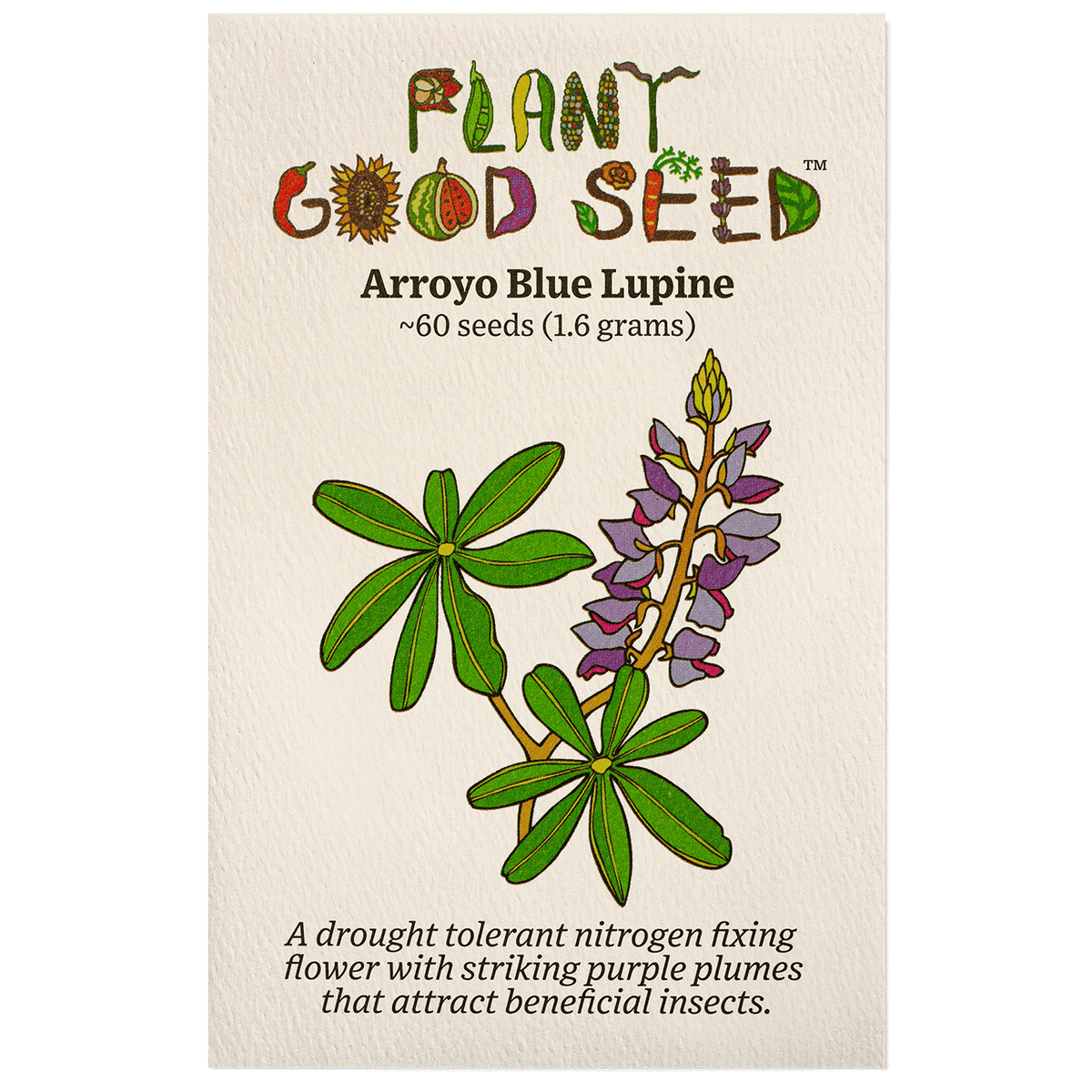 Arroyo Blue Lupine Flower