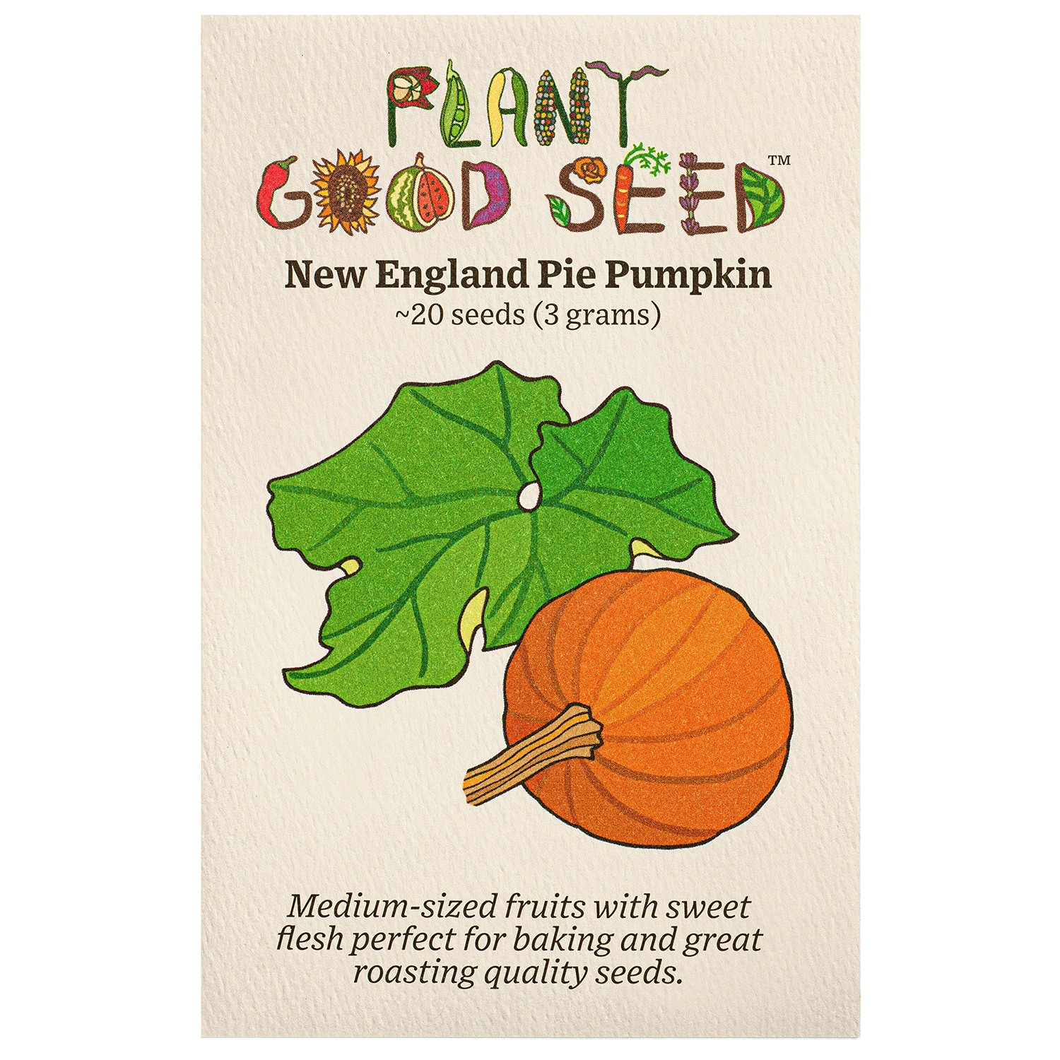 New England Pie Pumpkin
