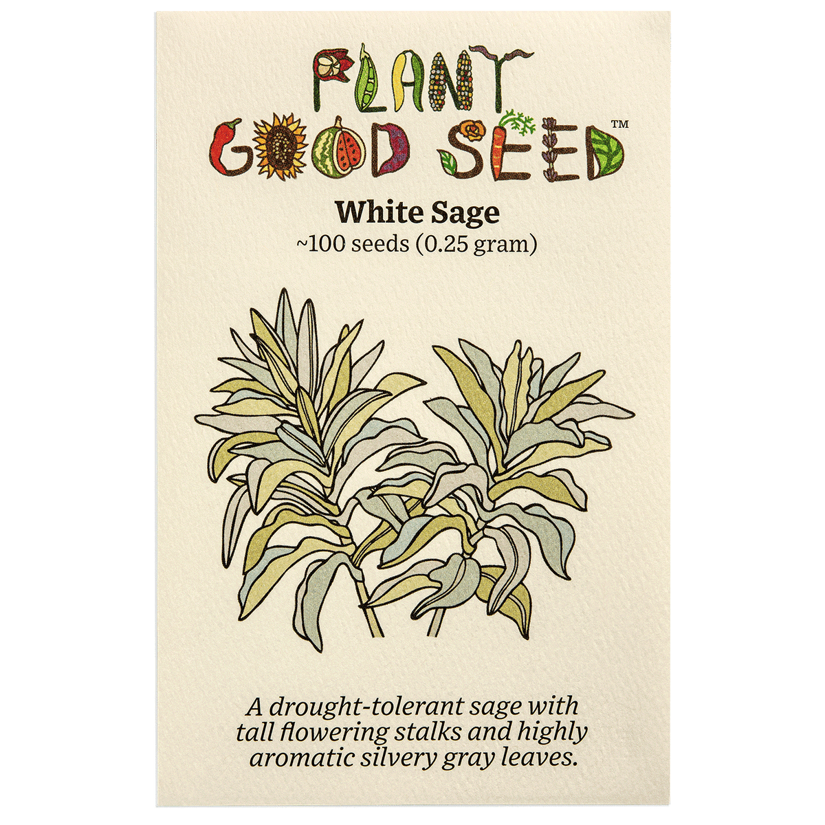 White Sage